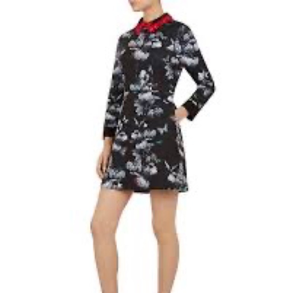 Ted Baker London | AMALIIA Narrnia collar dress